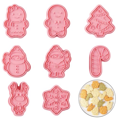 LBQUTN 8 x Emporte-pièce Noël, Moule à Biscuit Noël 3D Plast