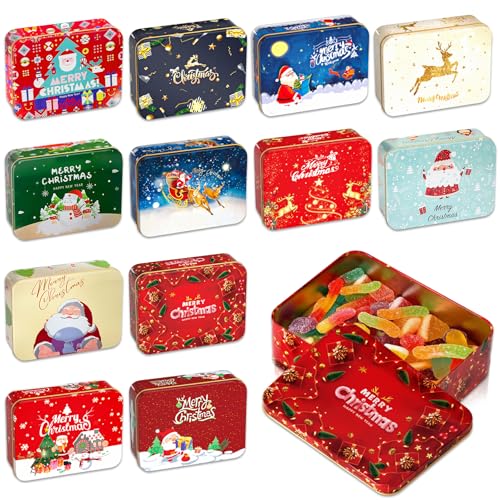 TZEKING 12 Pièces Boîte à Biscuits de Noël,Boîtes à Biscuits