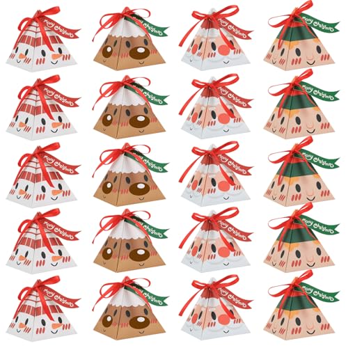 Boîtes Noël biscuits x20 décoratives
