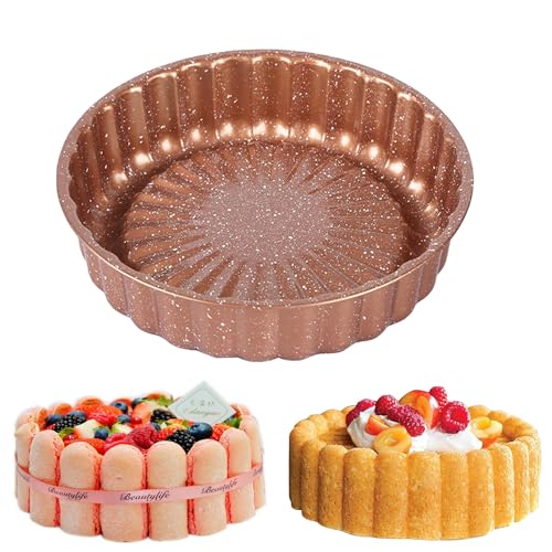 EASYLAVIE Moule a Charlotte 25cm Moule a Gateau Brioches 10 